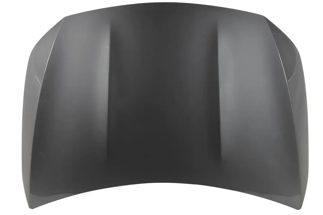 W118 HOOD